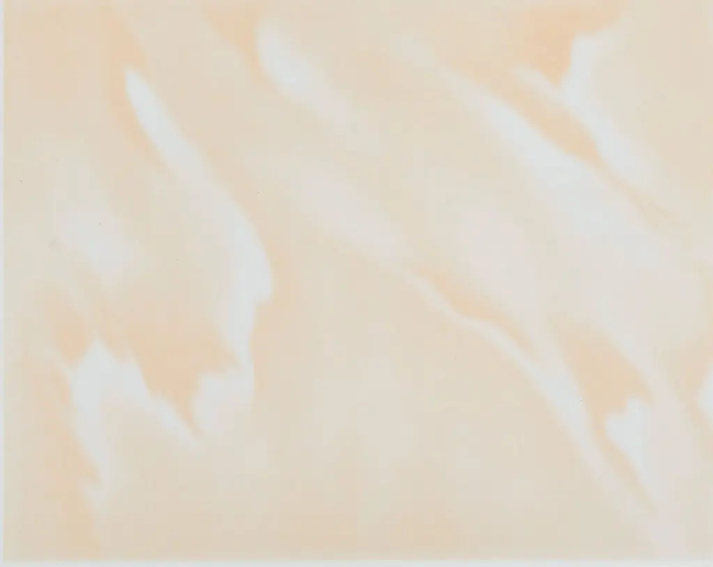 CERAMICA BEIGE 20X30 CM