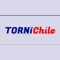 TORNILLO MADERA 3" TORNICHILE CAJ 100UND  